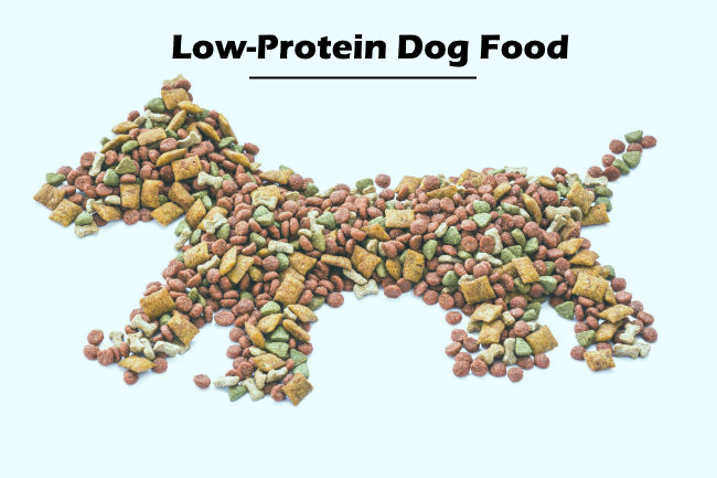 Low-Protein Dog Food