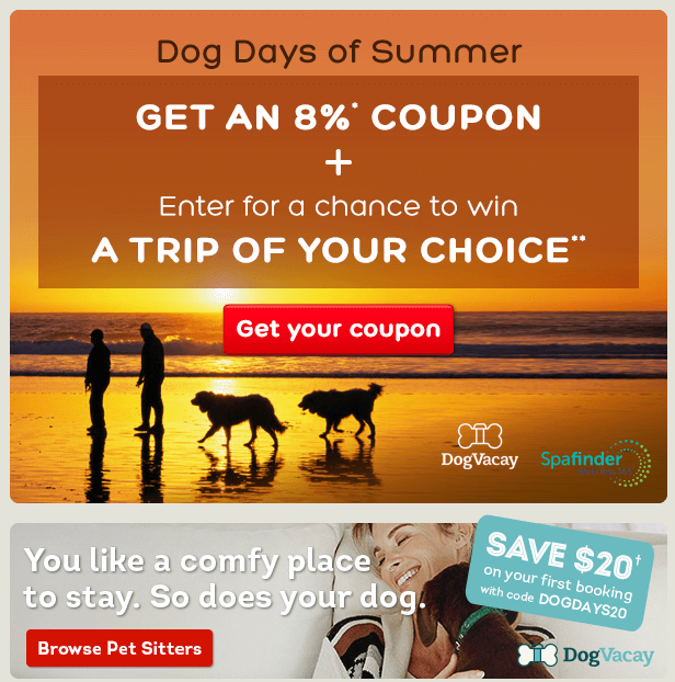 hotels dog days of summer coupon